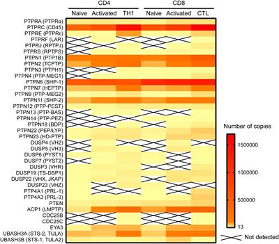 Modulation of TCR Signaling by Tyrosine Phosphatases: From Autoimmunity to Immunotherapy